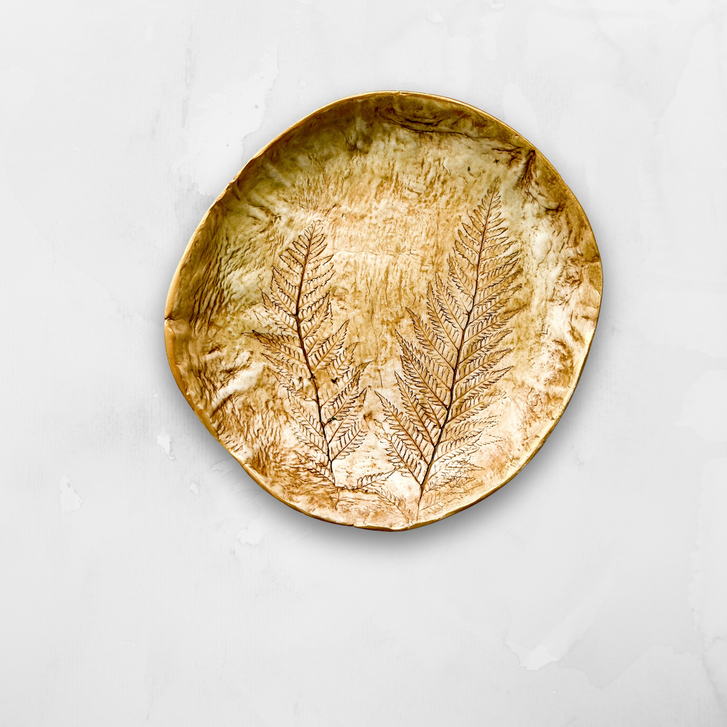 Platito Botánico helecho