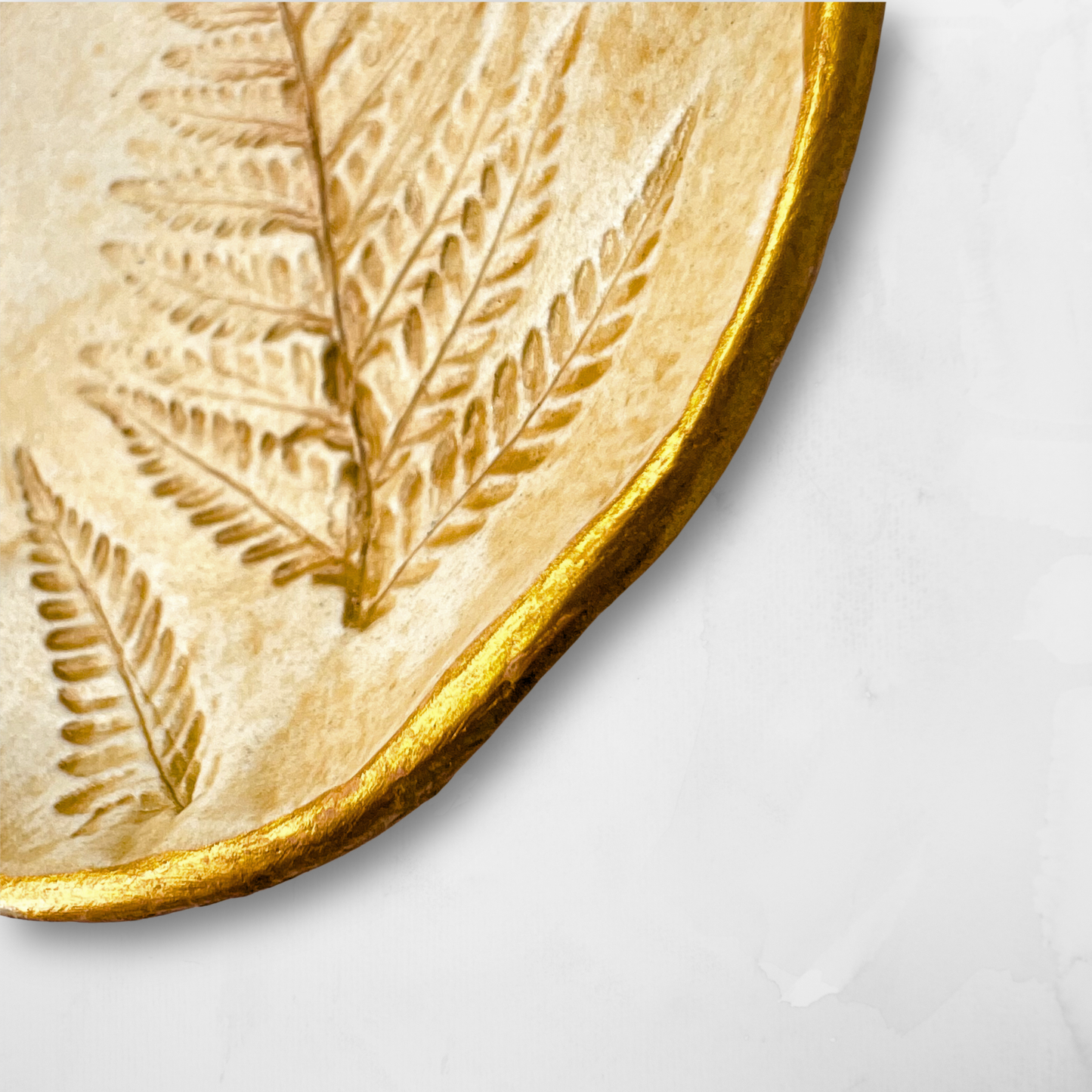 Platito Botánico helecho