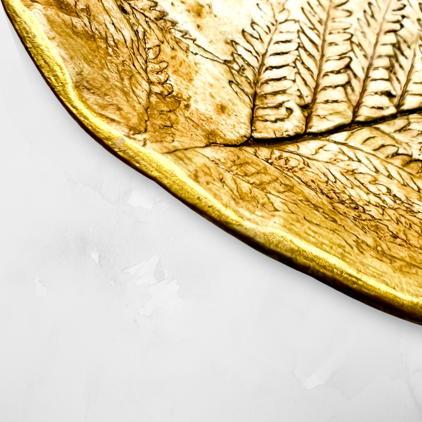 Platito Botánico helecho