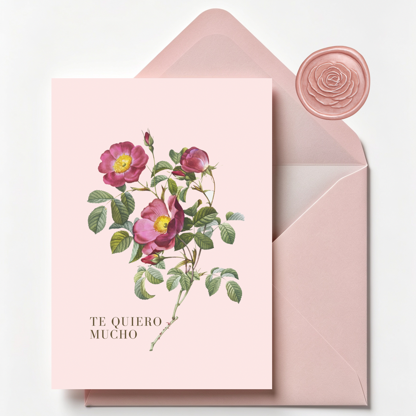Tarjeta 20