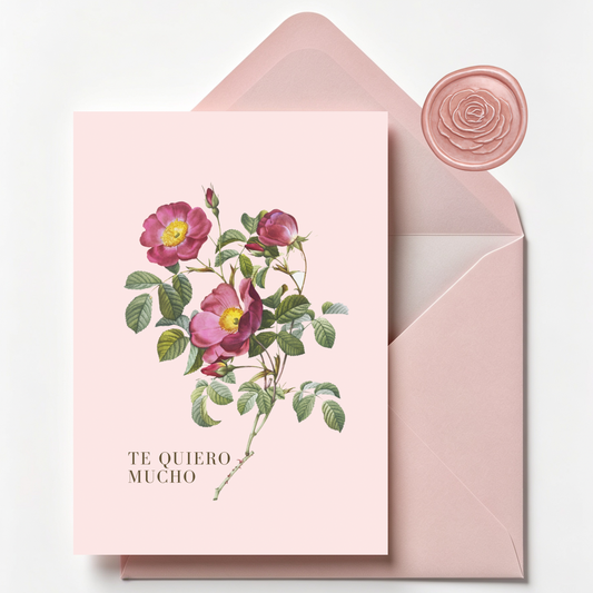 Tarjeta 20