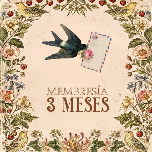 Membresía 3 Meses