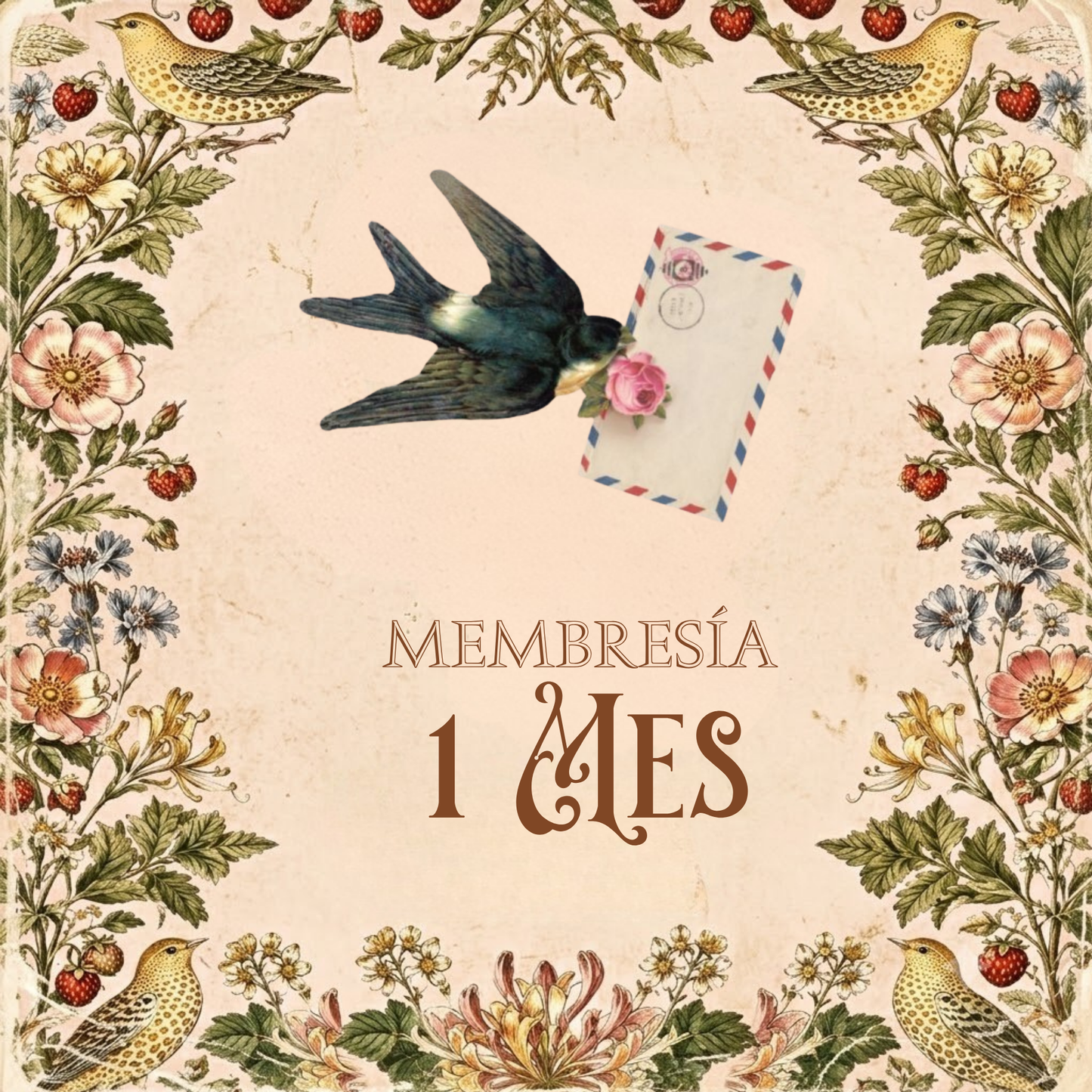 Membresía 1 Mes